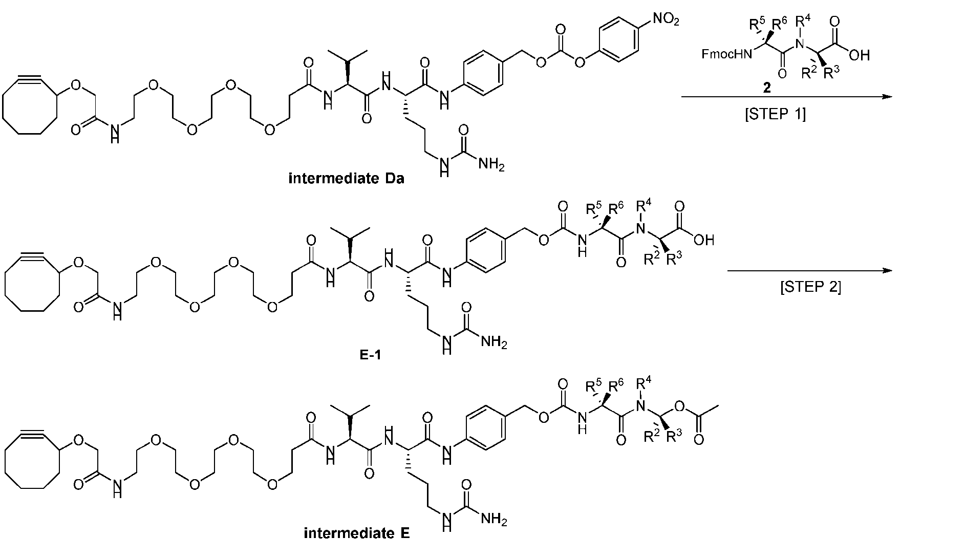 Figure imgf000174_0002