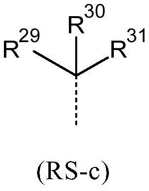 Figure FDA0003623712790000081