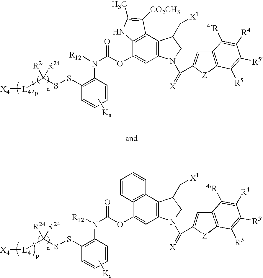 Figure US20080279868A1-20081113-C00085