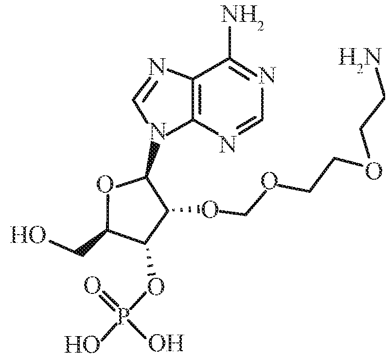 Figure imgf000022_0001