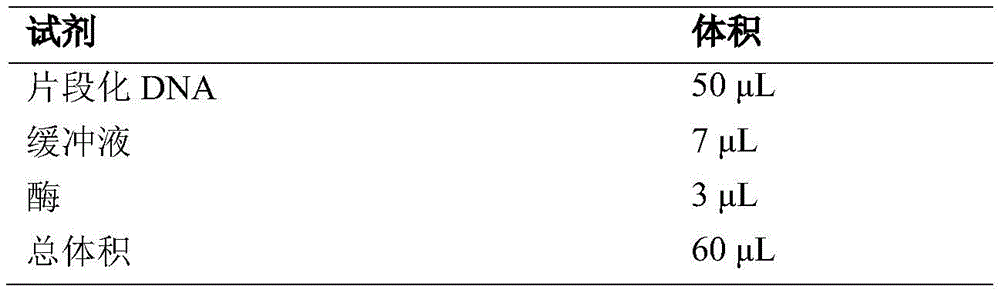 Figure GDA0003803561740000171