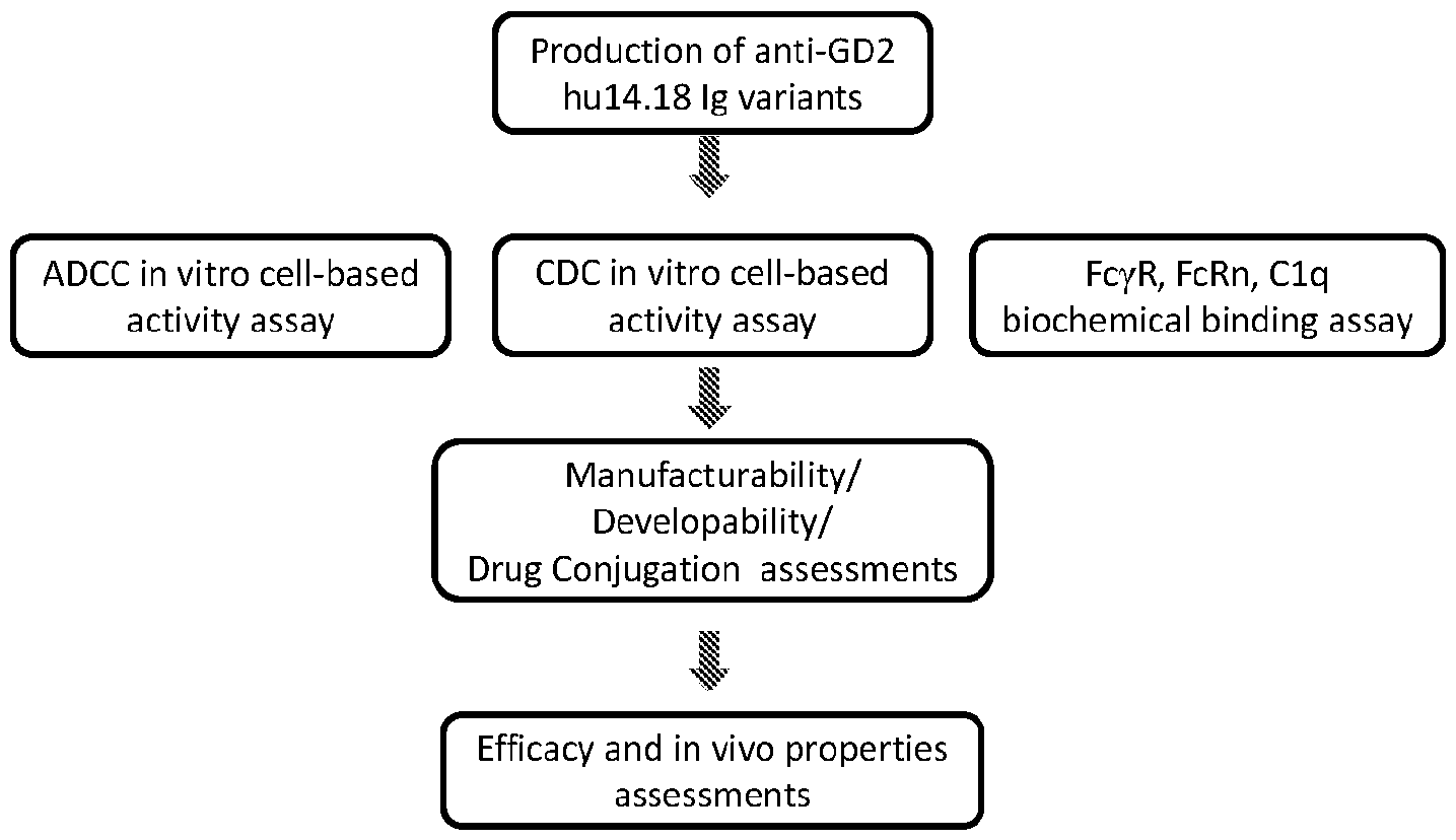Figure imgf000014_0001