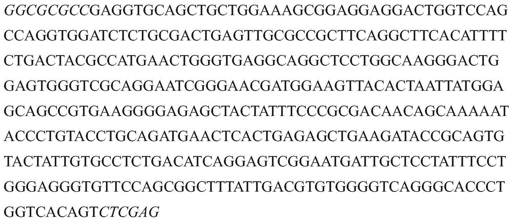 Figure GDA0003152722340000882