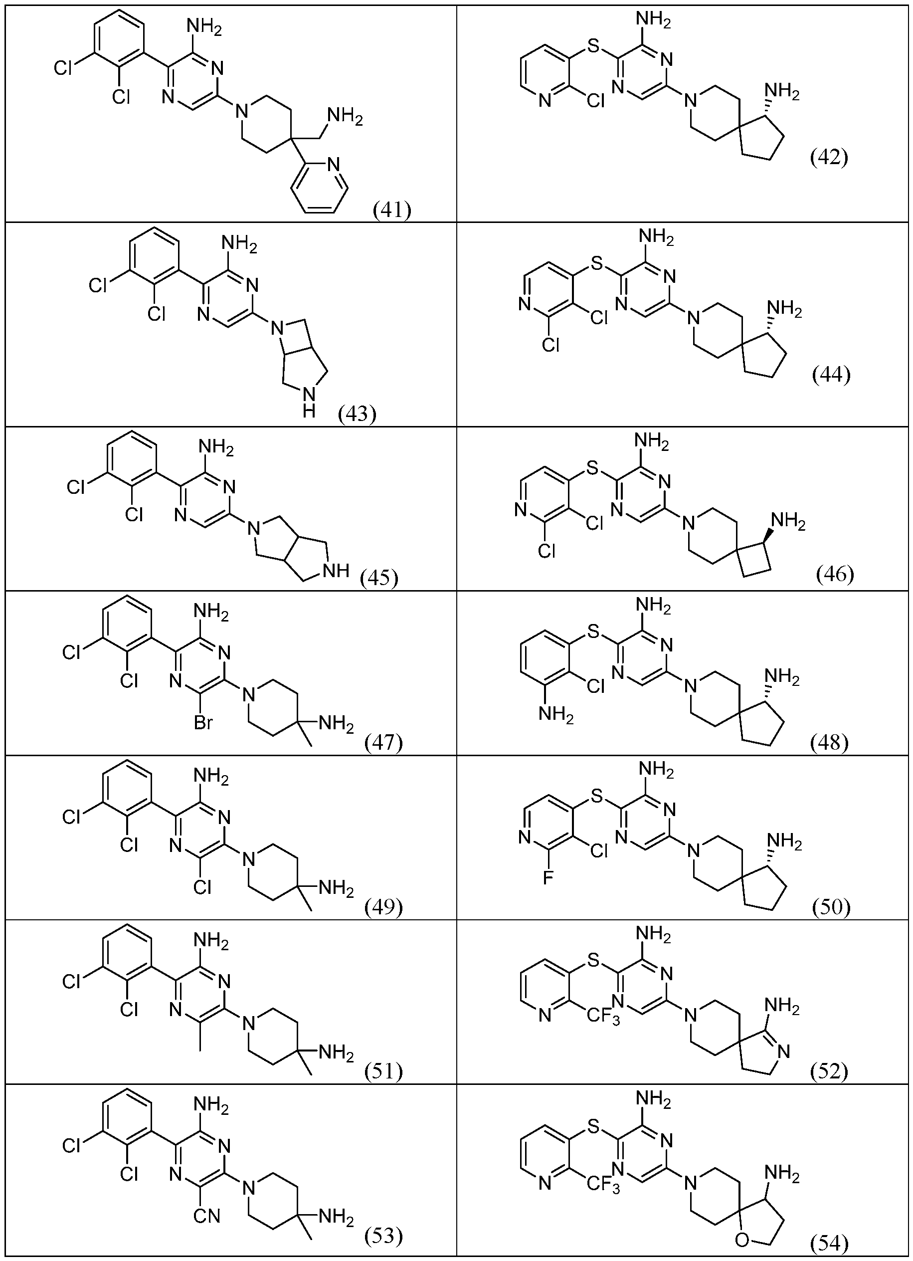 Figure imgf000025_0001