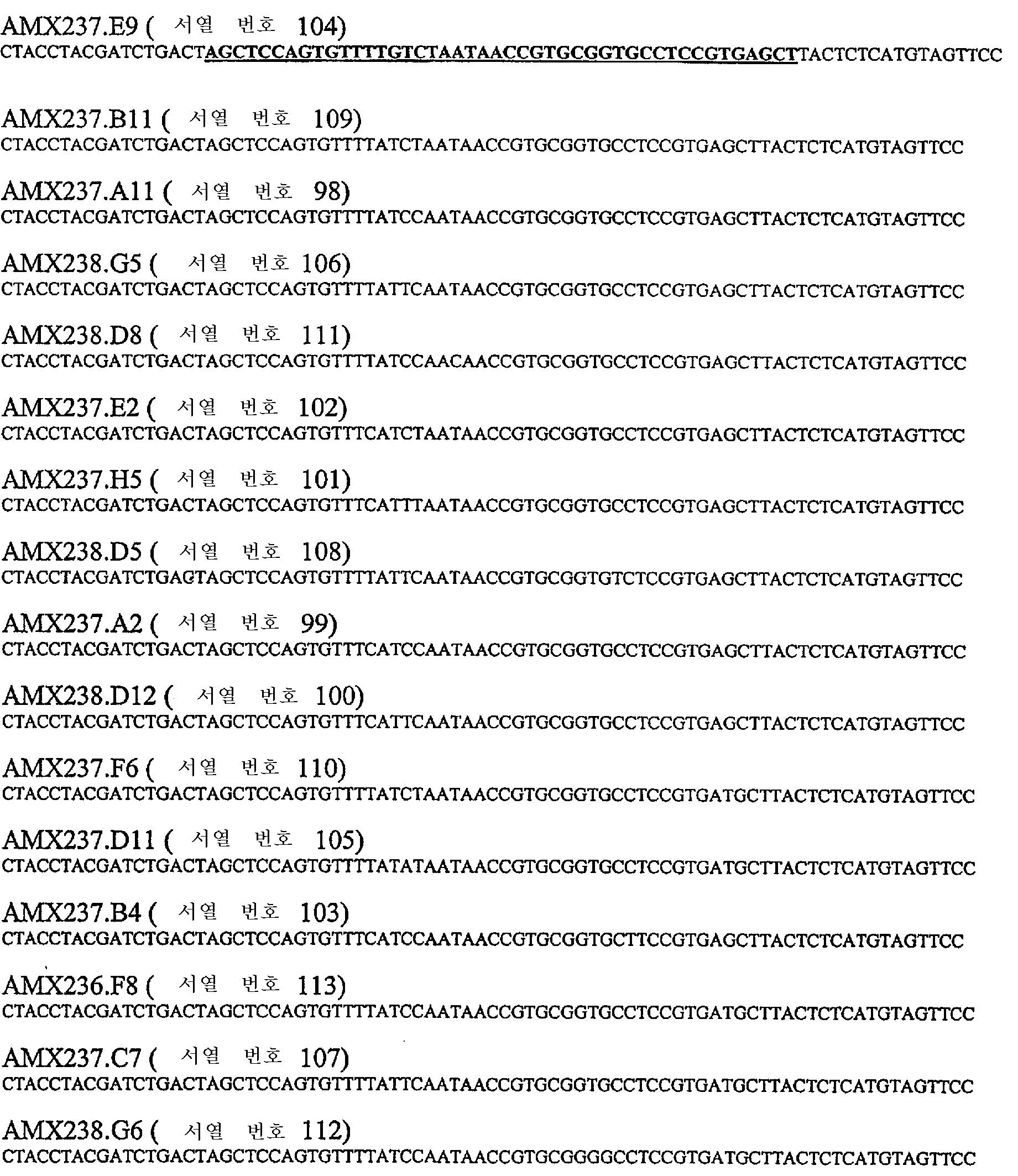 Figure 112007026846805-PCT00048