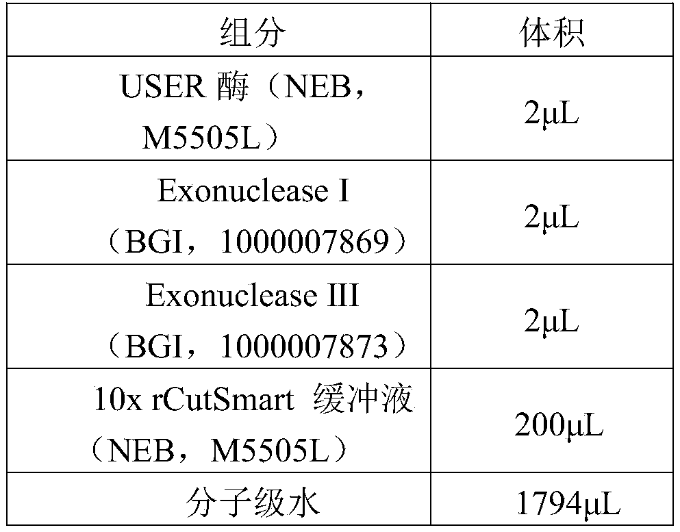Figure PCTCN2022143516-appb-000012