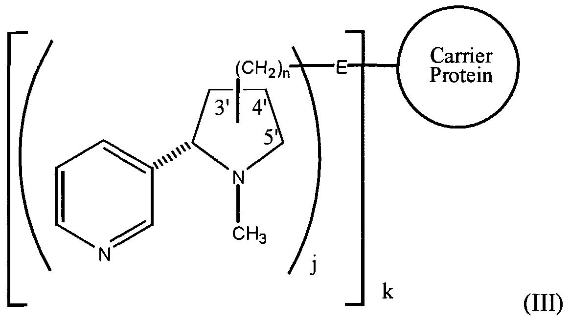 Figure imgf000007_0001