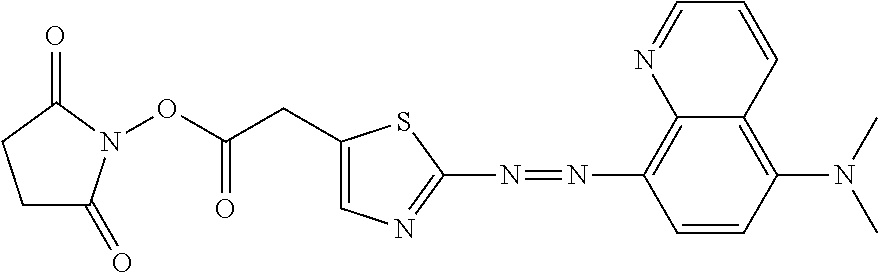 Figure US20100311184A1-20101209-C00019