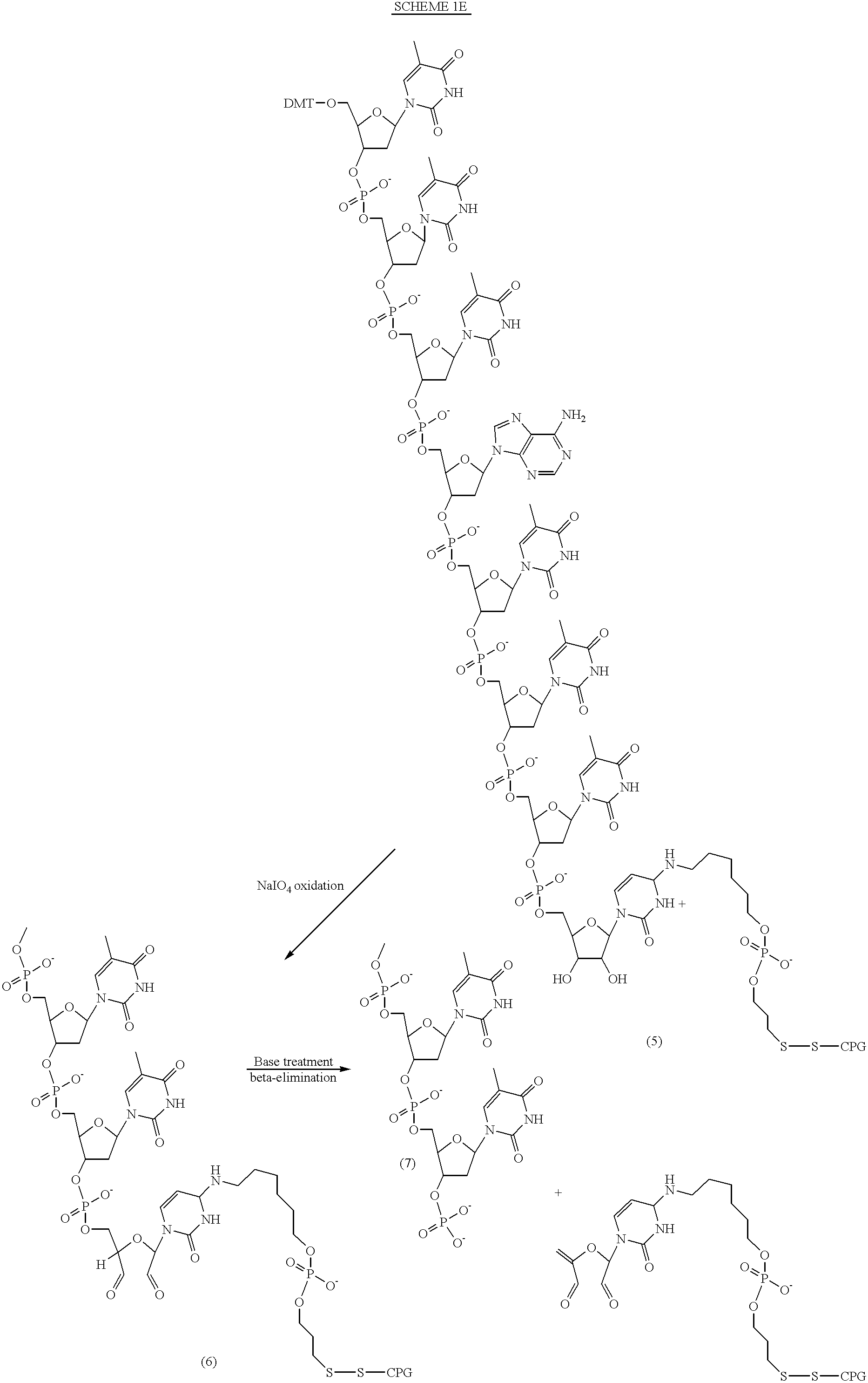 Figure US06472522-20021029-C00008