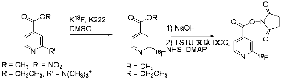 Figure 0007219497000023