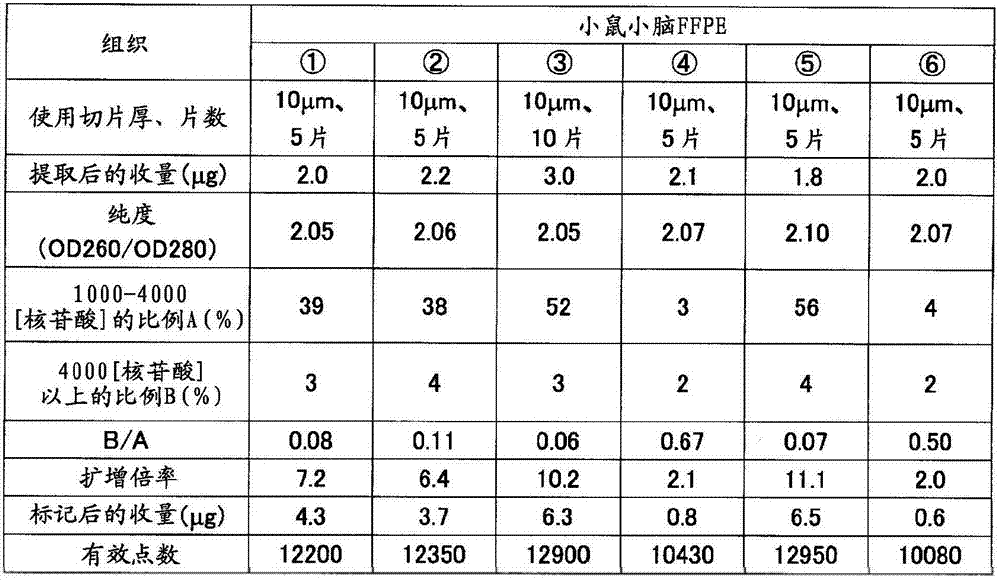 Figure GDA00001764333500231
