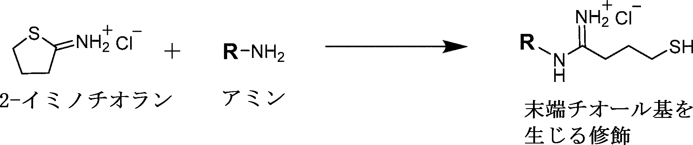 Figure 0007339160000007