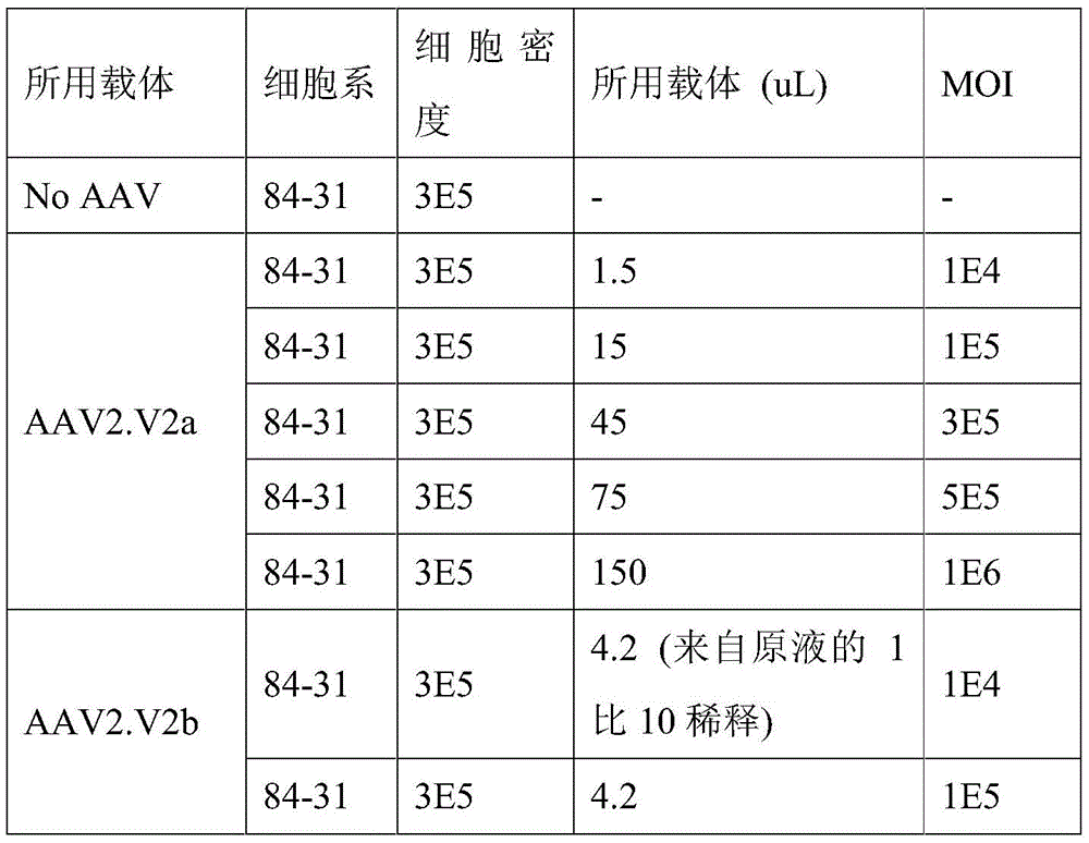 Figure BDA0001764338830000372