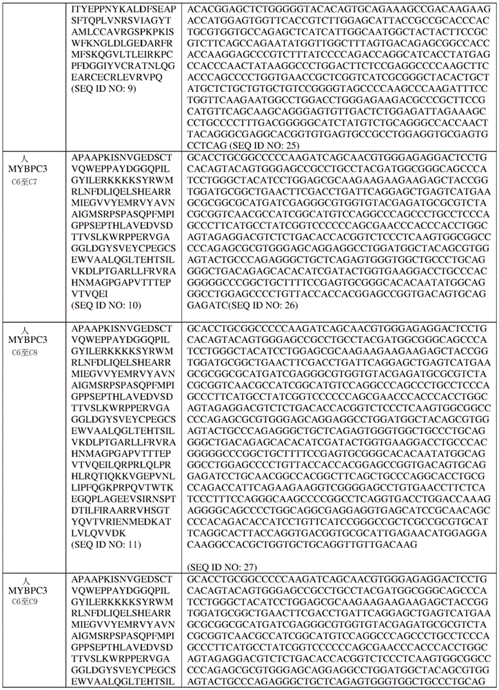 Figure BDA0004042604680000211