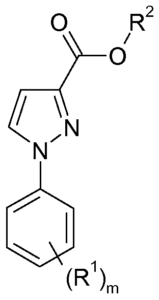 Figure imgf000254_0004