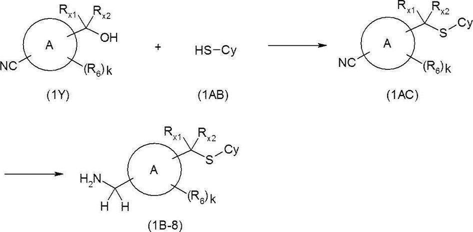 Figure JPOXMLDOC01-appb-C000217