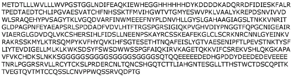 Figure BDA0003169474240000608