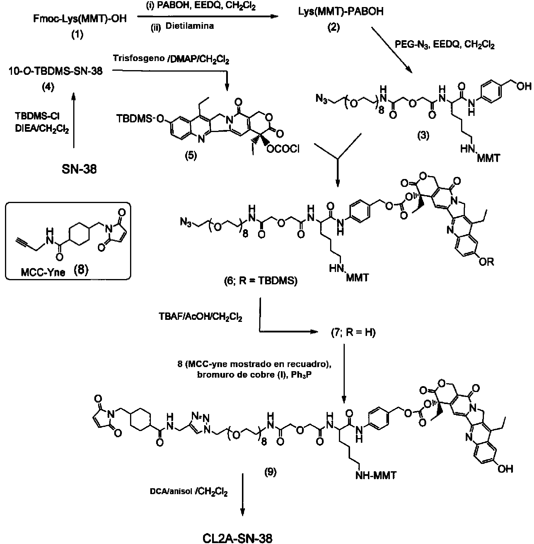 Figure imgf000123_0002