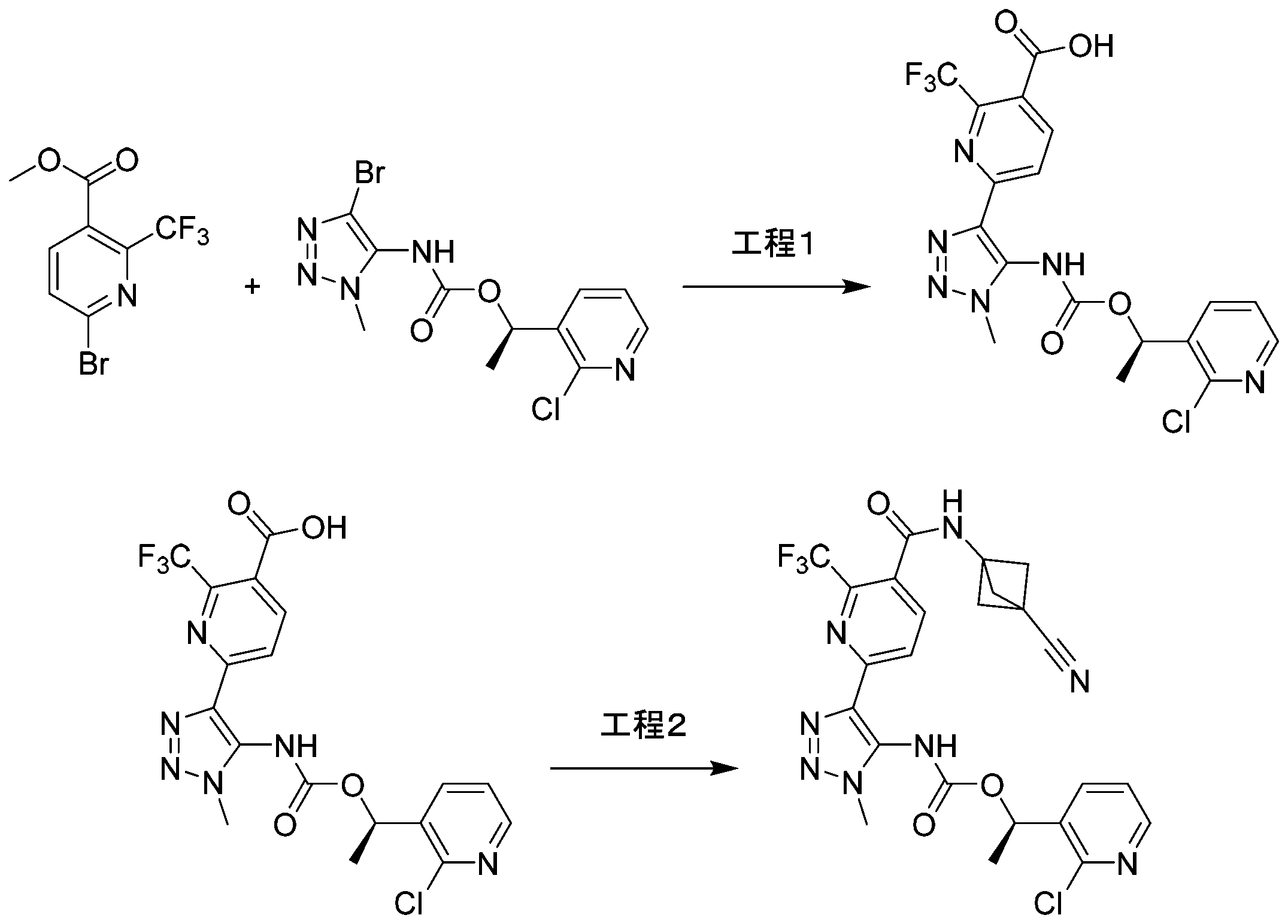 Figure 0007691522000067