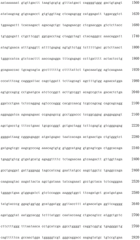 Figure IDA0002872168960001051