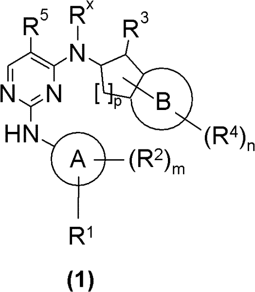 Figure FDA0000113578220000011