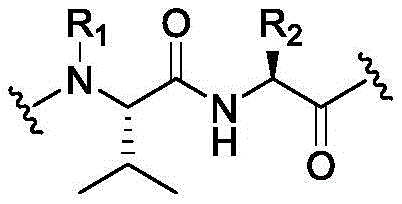 Figure BDA0003508738070000392