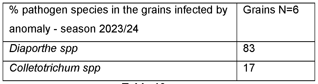 Figure imgf000027_0002