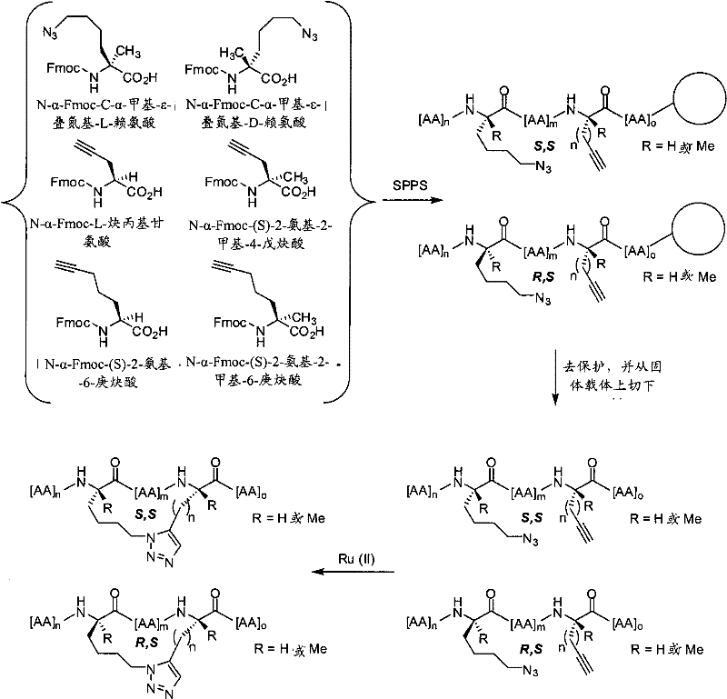 Figure BPA00001350912100471