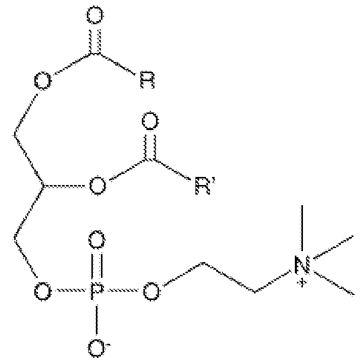 Figure imgf000076_0001