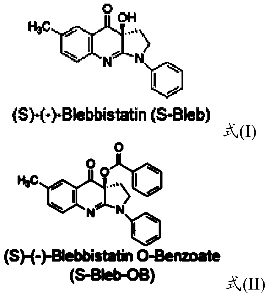 Figure PCTCN2019073622-appb-000001