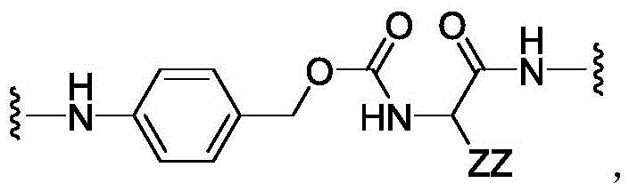 Figure BDA0003169092350001135