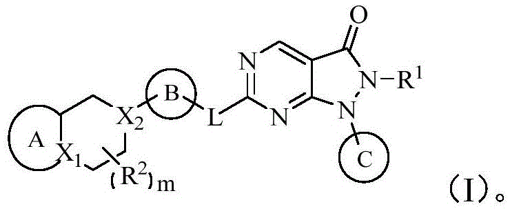 Figure DDA0003219200960000011