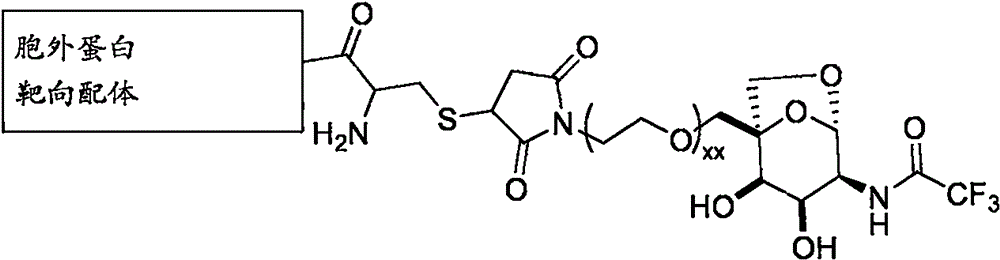 Figure BPA0000324887470000982