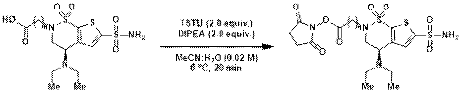 Figure imgf000026_0002
