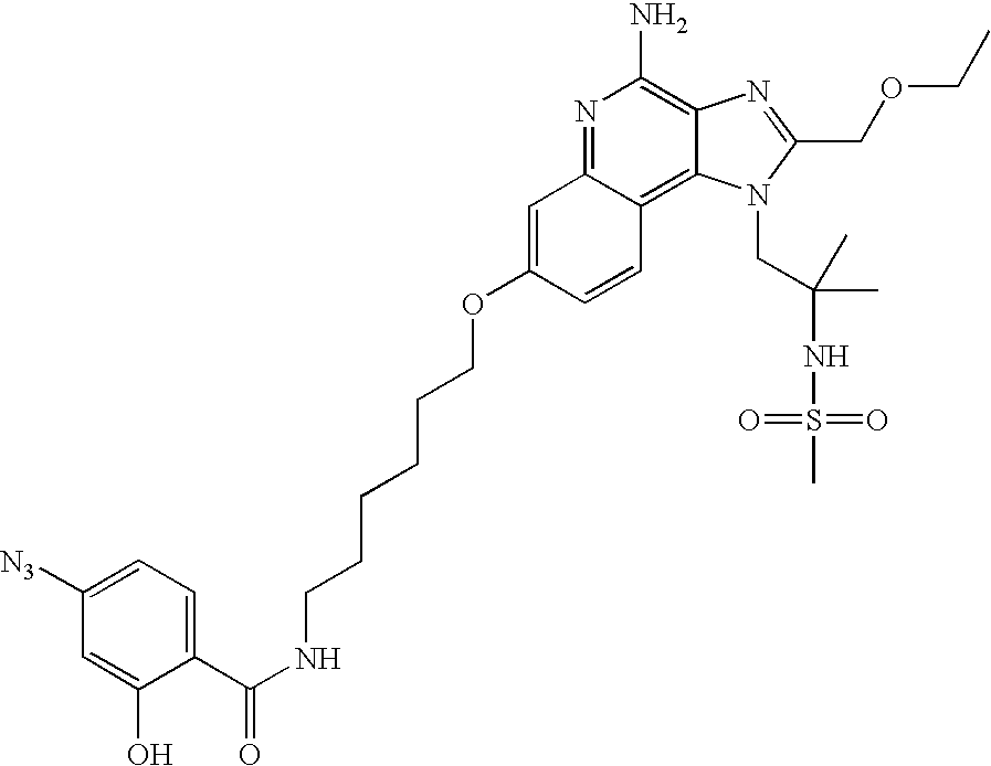 Figure US20060142202A1-20060629-C00008