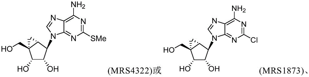 Figure BDA0003556351370000491