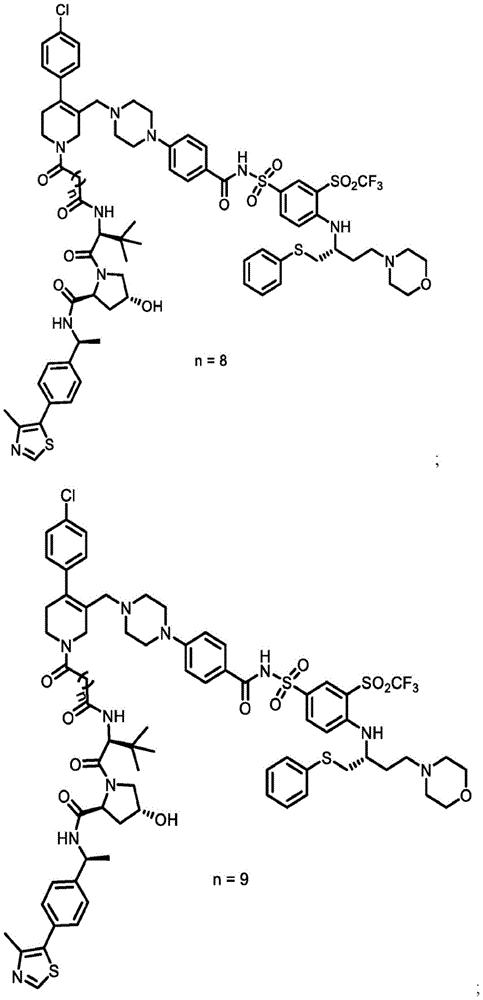 Figure BDA0003293294510000251
