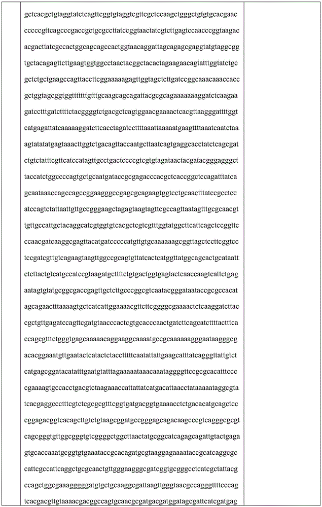 Figure BDA0002699455900001881