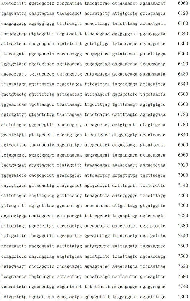 Figure IDA00003076741800491