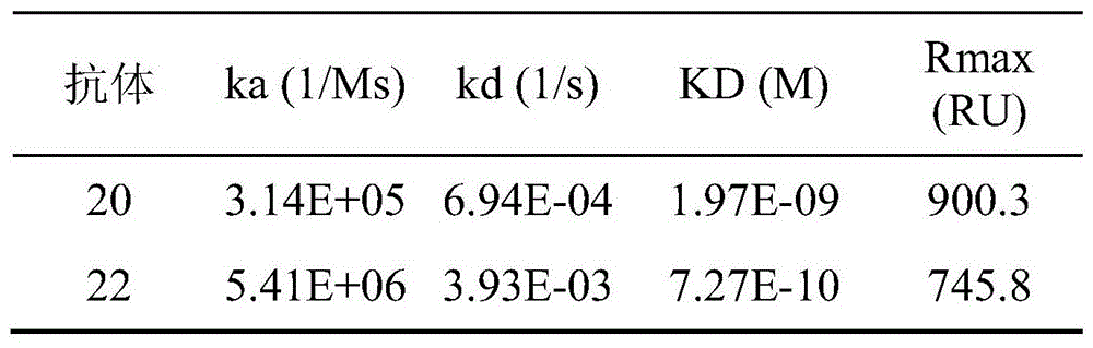 Figure BDA0002080313060000151
