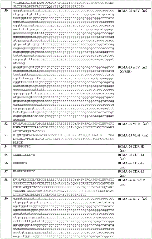 Figure BDA0003980595070001581