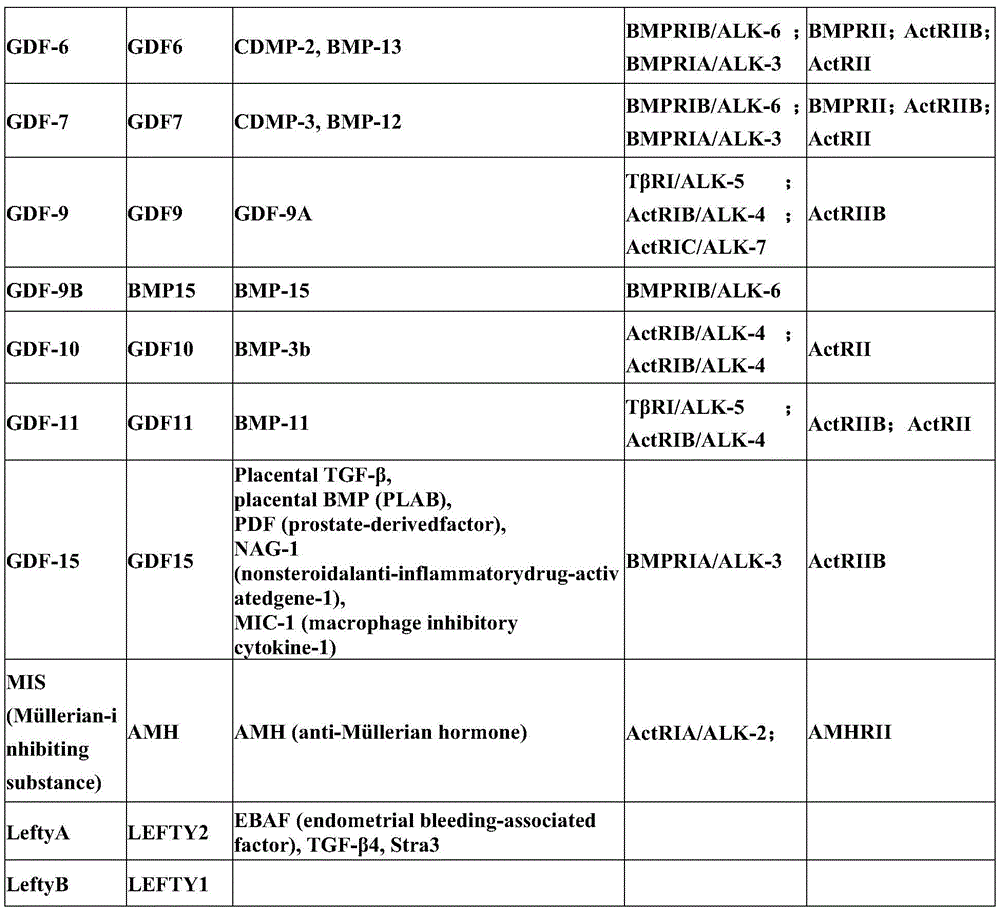 Figure BDA0003809130440000051