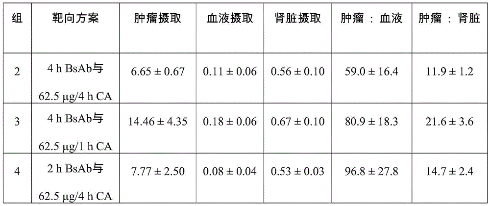 Figure BDA0002763179510001381