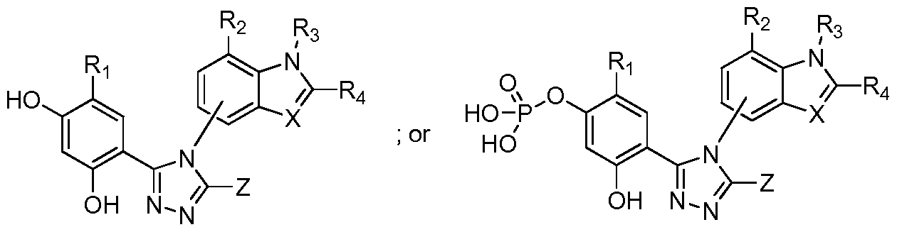 Figure imgf000033_0001