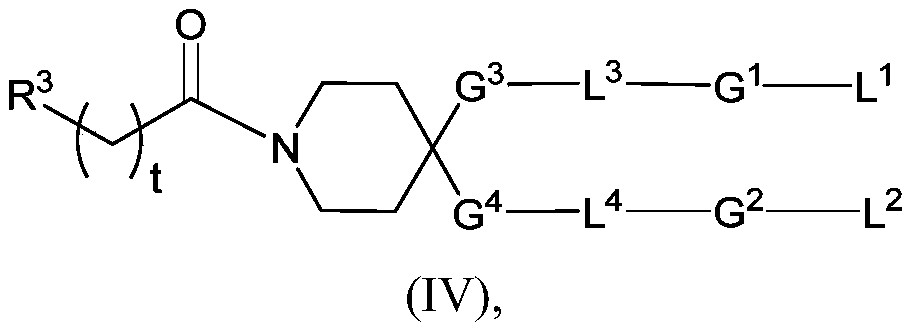 Figure PCTCN2021113572-appb-100004