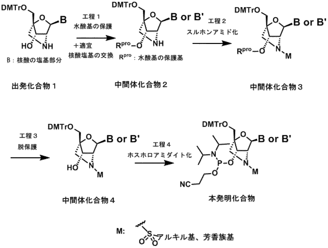 Figure JPOXMLDOC01-appb-C000021