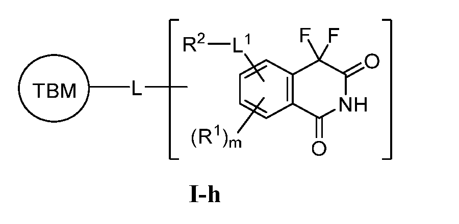 Figure imgf000040_0003