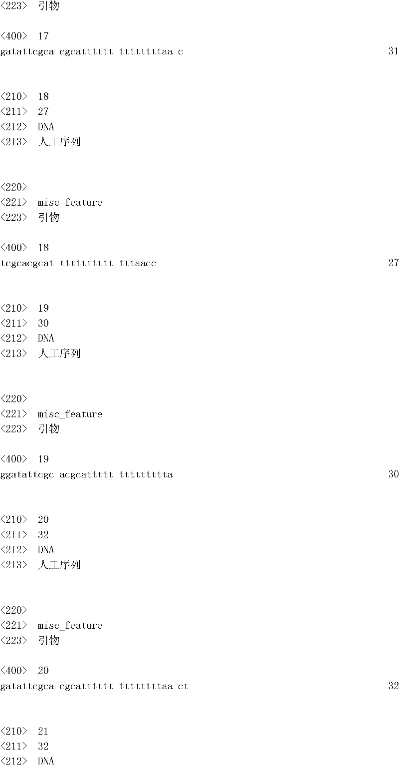 Figure IDA0000049169510000051