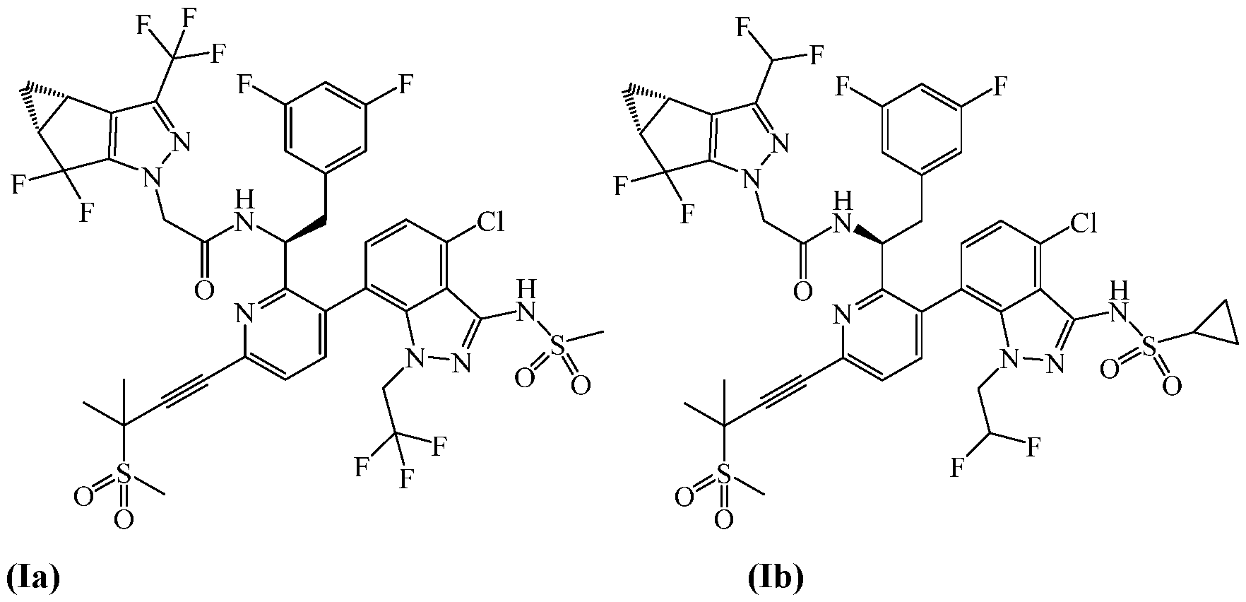 Figure imgf000005_0001