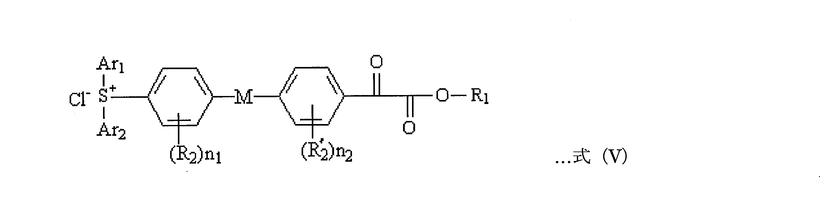 Figure 0007025531000013